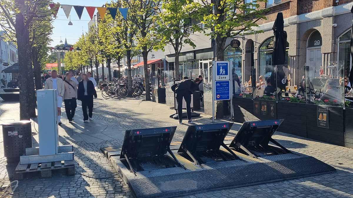 Inspektion af hegnslinje