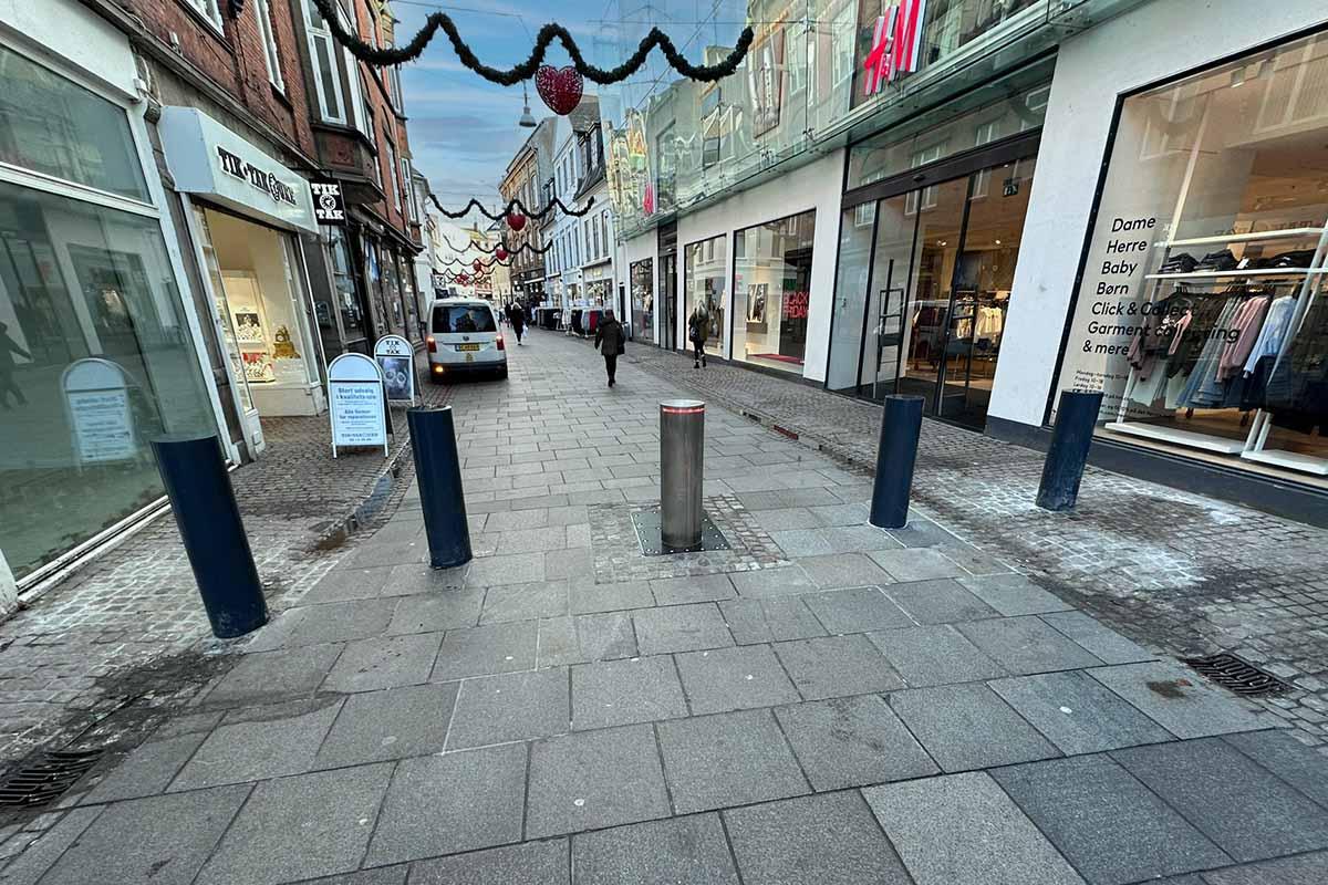 Inspektion af hegnslinje