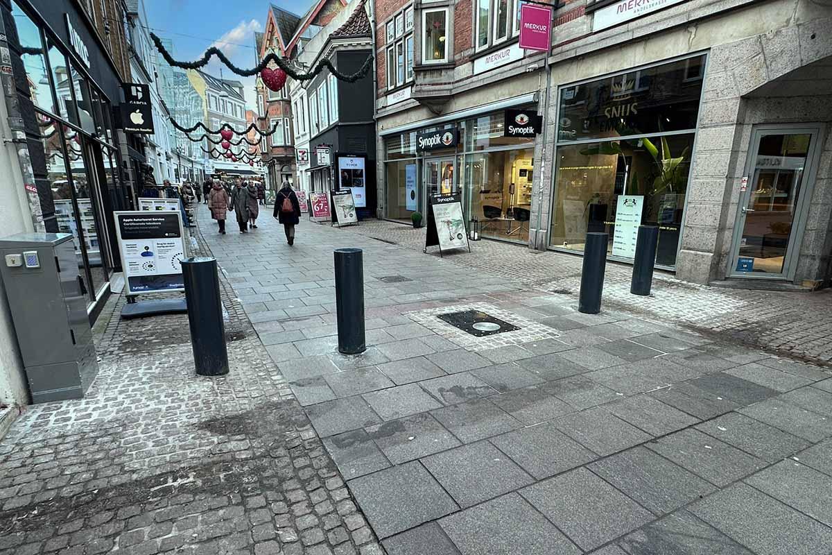 Inspektion af hegnslinje