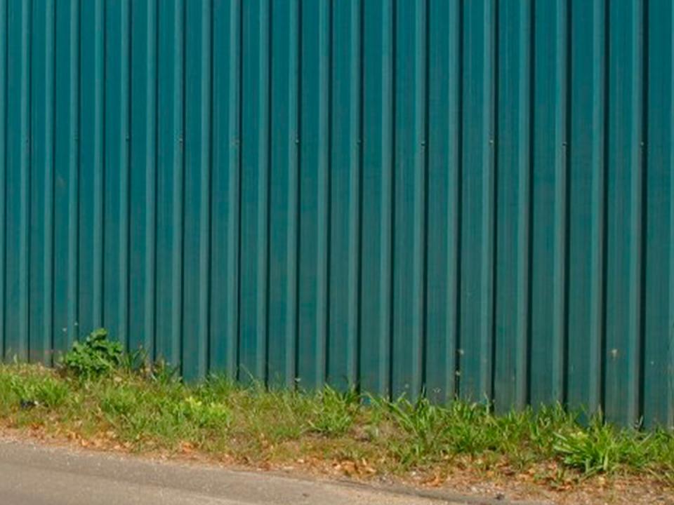 Close-up af pladehegn